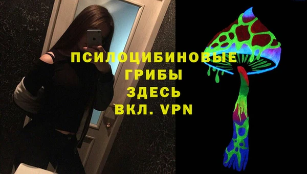 ешки Армянск