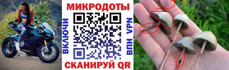 ссылка на мегу сайт  Чердынь  Псилоцибиновые грибы GOLDEN TEACHER 